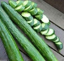 PM Japanese Long Burpless Cucumber Seeds (25+ Seed age) - £3.54 GBP