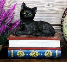 Wicca Mystical Black Cat Sitting On Book Of Spells Stack Decorative Jewe... - $456.59 MXN