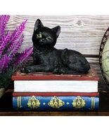 Wicca Mystical Black Cat Sitting On Book Of Spells Stack Decorative Jewe... - €21,44 EUR