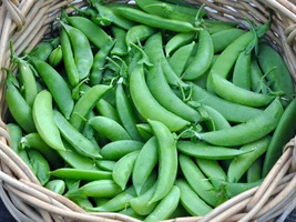 1/4 oz 30 Seeds Pea Edible Pod Sugar Snap Vegetable Seeds Plant - £10.90 GBP