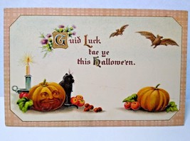 Halloween Postcard Fantasy Vampire Bats Human Face Pumpkin Cat Gottschalk 2399 - £92.58 GBP