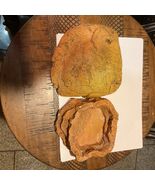 Zilla Eco-Terra 6-7” Reptile Water Dish Stone Habitat Lair Snake Lizard ... - $279.13 MXN