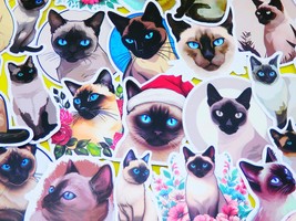 Siamese cat Stickers Pack, 50 PCS a pack, Waterproof, Reusable, Very Cute!! - $9.54 CAD