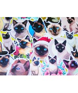 Siamese cat Stickers Pack, 50 PCS a pack, Waterproof, Reusable, Very Cute!! - $9.49 CAD