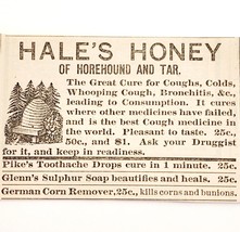 1886 Medical Hale&#39;s Honey Horehound Victorian Quack Medicine Advertisement - $378.90 MXN