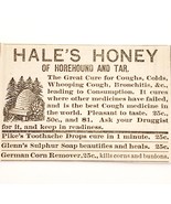 1886 Medical Hale&#39;s Honey Horehound Victorian Quack Medicine Advertisement - $368.12 MXN