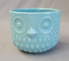 Nattol Owl Succulent Planter Turquoise Animal Ceramic Planter Pots with Drainage - £11.20 GBP