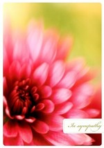 Peace And Comfort - Tree Free Greeting Card - 12814 - $2.79