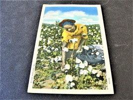 Happy Woman working on Cotton Picking, 1953 Postmarked-Hot Springs National Park - £17.58 GBP