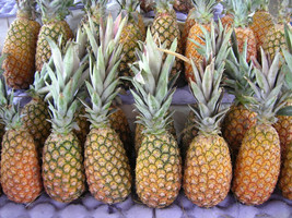 15+ Abacaxi Pineapple Seeds - $9.99