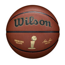WILSON BASKETBALL NBA ALLIANCE SIGNATURE TROPHY INDOOR OUTDOOR OFFICIAL ... - $29.99