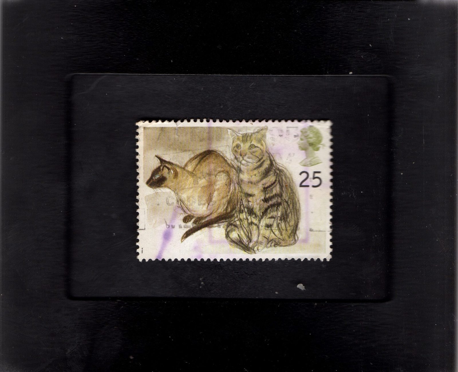  Tchotchke Frame Stamp Art -Collectible Postage Stamp Domestic Cats - $8.99