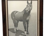 Max schacknow Paintings The big stud 314038 - $199.00