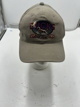 Vintage Ducks Unlimited Hat Snapback Bird Dog Hunting Cap Rare - $462.19 MXN