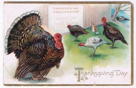 Holiday Postcard Embossed Thanksgiving Turkey Proclamation - £2.31 GBP