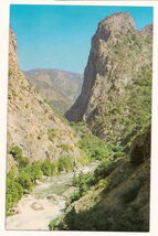 Kings Canyon National Park California highway 180 Postcard Unused - $4.90