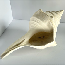 Oversized Faux Conch Shell Pottery Barn Cast Seashell Planter Figurine 16&quot; - $99.00