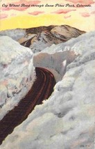Incline Cog Railroad Track Through Snow Pikes Peak Colorado 1910c postcard - $6.44
