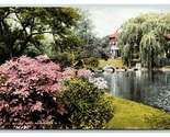 Willow Pond East Avenue Rochester New York NY DB Postcard H22 - £3.07 GBP