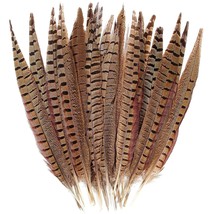 20Pcs Natural Pheasant Feathers, Male Tails Feathers 14-16Inch For Diy C... - £49.81 GBP