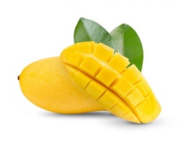 Seedling MANILA Mango mangifera Indica Tropical Fruit Live Tree 10inch-2... - $101.29 CAD