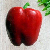 USA SELLER Yolo Wonder Sweet Bell Pepper Gardening Vegetable Seeds - £12.72 GBP