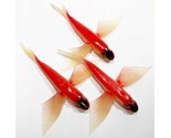 Flying Fish Big Game Trolling Lures 10&quot; Red/Black/Clear Package of 3 - $32.49