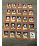 1991-92 ProCards AHL Barry Melrose Adirondak Red Wings Coach &amp; Team Set - €48,12 EUR