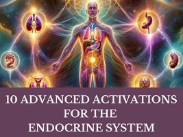 10 Advanced Energy Activations for the Endocrine System - £153.51 GBP