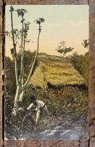 Wild Natives &amp; Their Home- Interior of Panama- 1907-1915 Postcard - £3.18 GBP