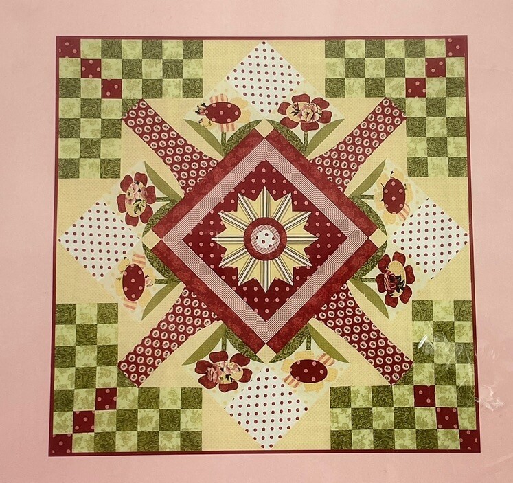 Quilt Soup PATTERN Sunny Disposition Applique and Piecing 56" x 56" Item image 2