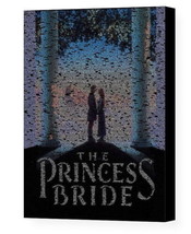 The Princess Bride script Mosaic AMAZING Framed 9X11 Limited Edition Art w/COA - £15.30 GBP