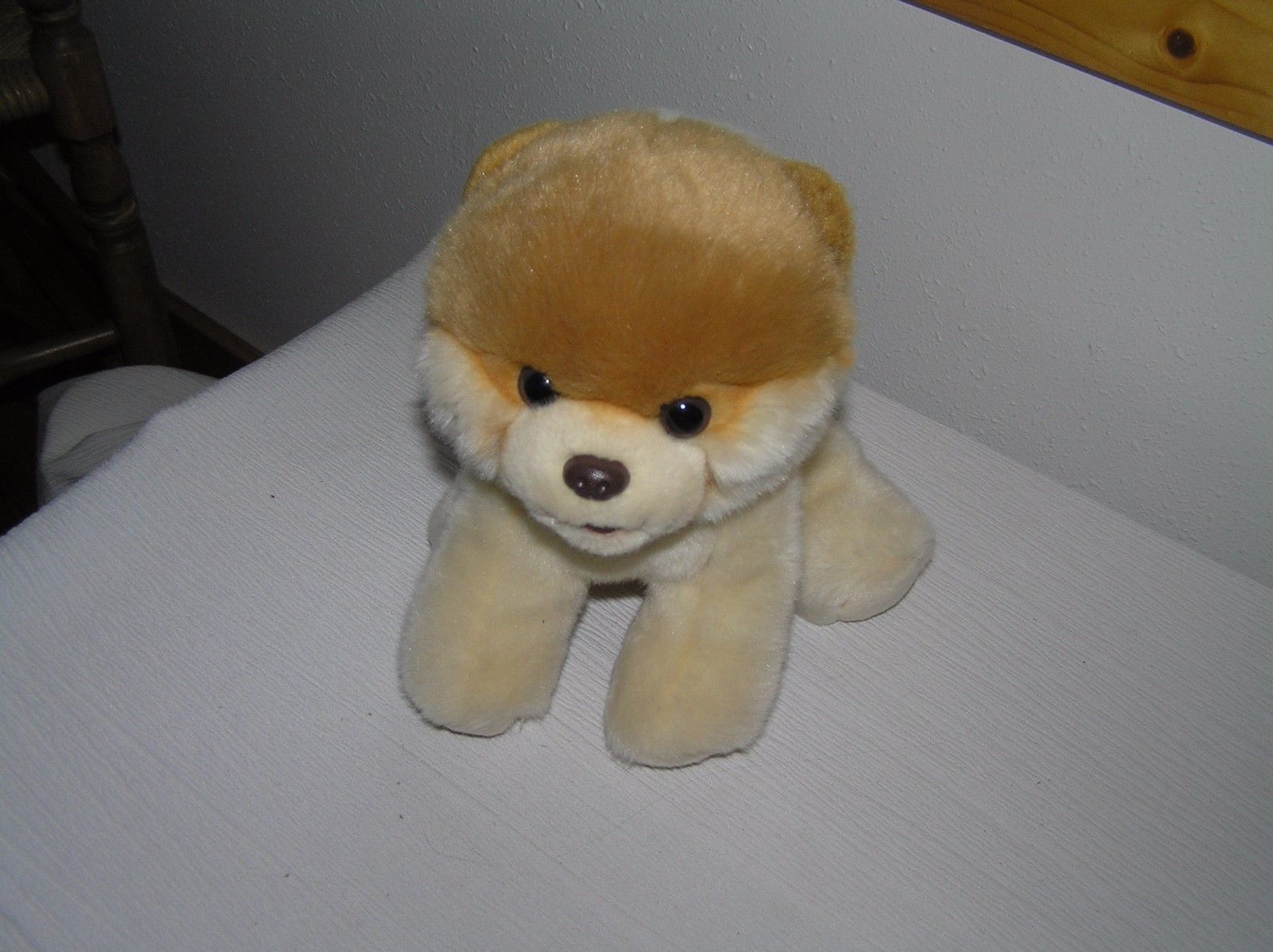 Gund World’s Cutest Dog Cream & Tan Pomeranian Puppy Dog Stuffed Animal Plush –  - £7.56 GBP