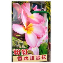 BELLFARM 5 Pink Wild Lotus Big Blooms, 5 Seeds D - $10.35