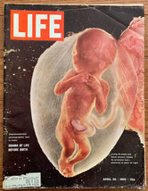 VTG Life Magazine April 30 1965 Living 18-Week-Old Fetus Shown Amniotic Sac - £8.03 GBP