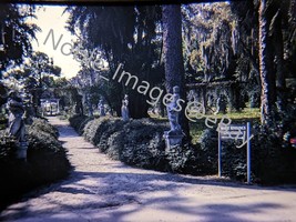 1969 Ringling Bros. Museum Mable&#39;s Rose Garden Sarasota 35mm Color Slide - £4.31 GBP