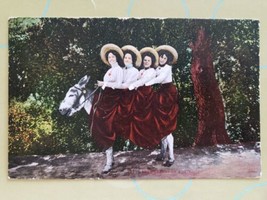Comic Four Queens on a Jack Ladies on Donkey 1907 DB Postcard  - $4.90
