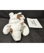 Ty Beanie Baby Plush Animal Soft stuffed Toy Butch Terrier Dog Tush Tag ... - £19.65 GBP