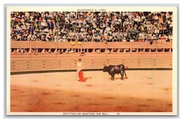 Matador Befitting or Adapting the Bull Bullfight UNP LInen Postcard S12 - $3.91