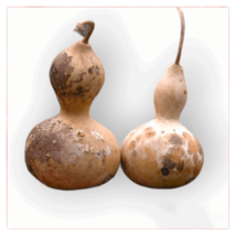 Birdhouse Gourd. 10 Seeds - $3.99