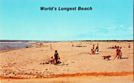Postcard Washington World&#39;s Longest Beach 28 Miles Southwest Corner of the State - £3.89 GBP