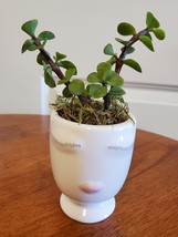 Succulent in Face Planter, Elephant Bush Live Plant in White Ceramic Pot 2.5&quot; W - $14.99