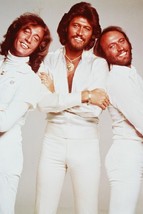 The Bee Gees 24x36 Inch Poster Robin Maurice Barry Gibb Saturday Night Fever - £23.18 GBP