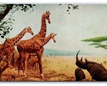 African Waterhole Natural History Museum Chicago IL UNP Chrome Postcard Q24 - $2.92