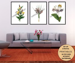 Watercolour Botanical Printable Wall Art in a Set of 3 Floral Wall Hangi... - £9.58 GBP