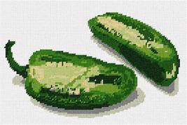 Pepita Needlepoint Canvas: Jalapeno, 11&quot; x 7&quot; - $50.00+