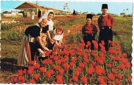 Holland Michigan Postcard Tulip Time in Holland Children Wooden Shoe Factory - $2.96