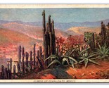 Landscape View Guanajuato Mexico UNP Prudential Insurance Co Postcard S7 - $4.90