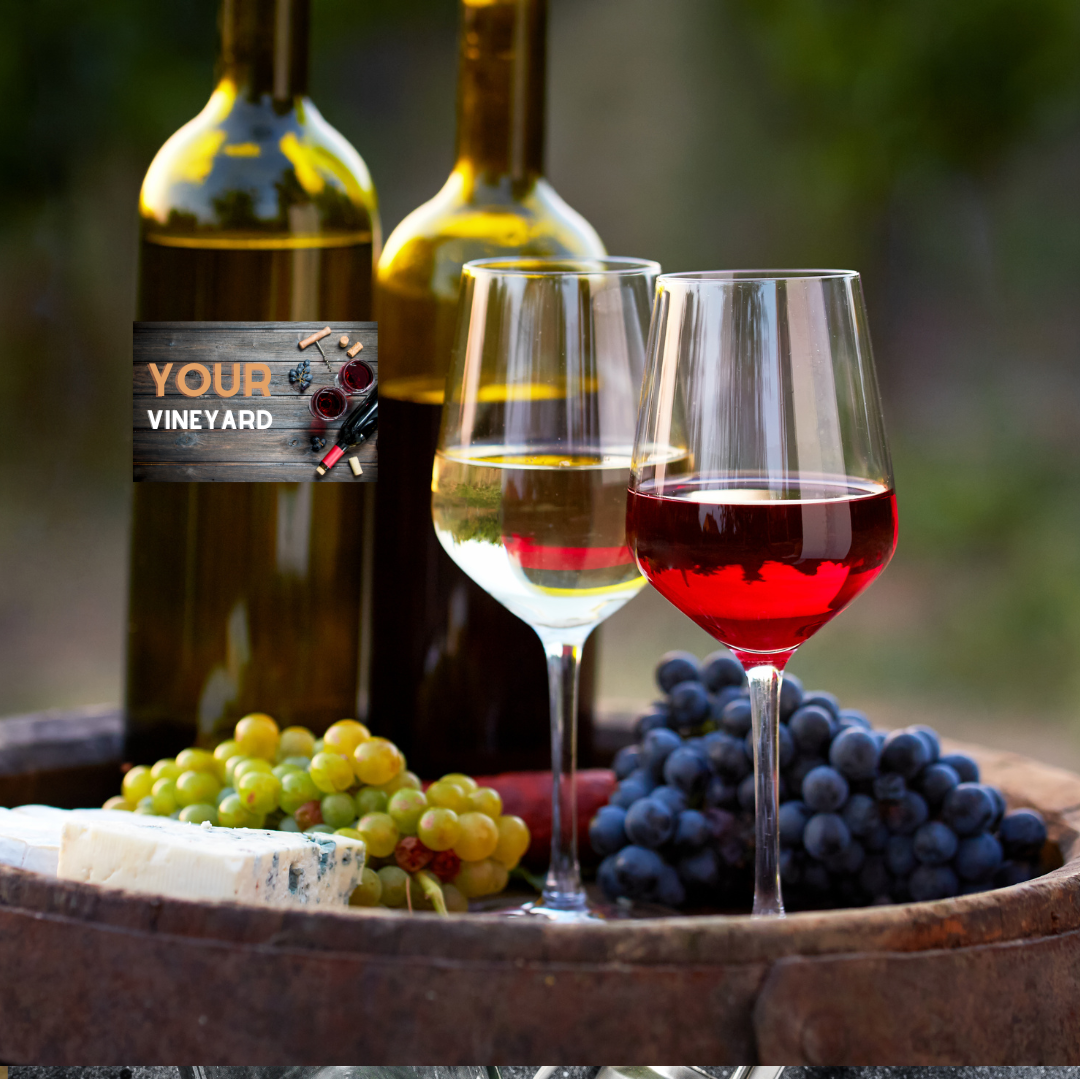 Wine Grape Collection -1 each - Pinot Noir, Riesling, Chardonnay - Grow your own