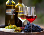 Wine Grape Collection -1 each - Pinot Noir, Riesling, Chardonnay - Grow ... - £45.51 GBP+
